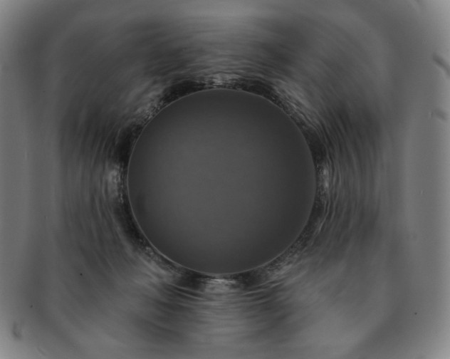 X0000091460222200708231323