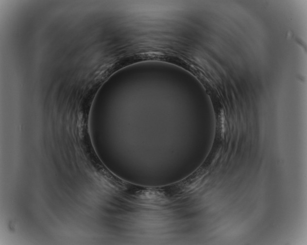 X0000091460223200708231323