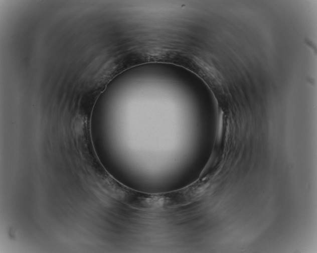 X0000091460225200708231323