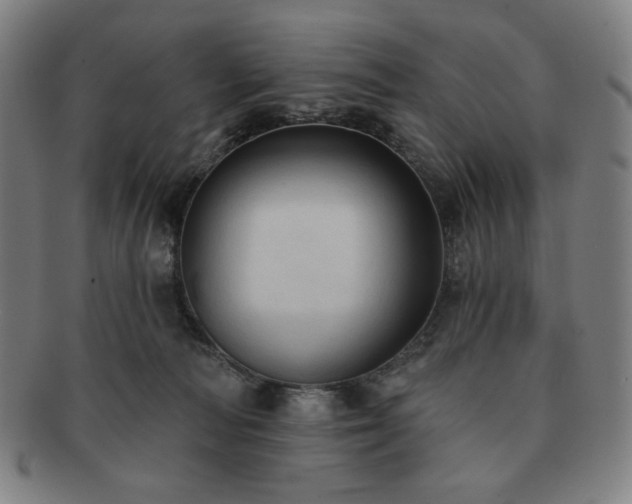 X0000091460226200708231323