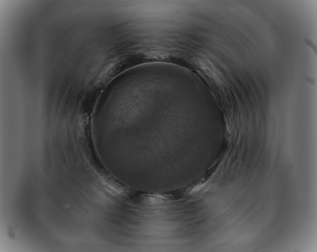 X0000091460229200708231323