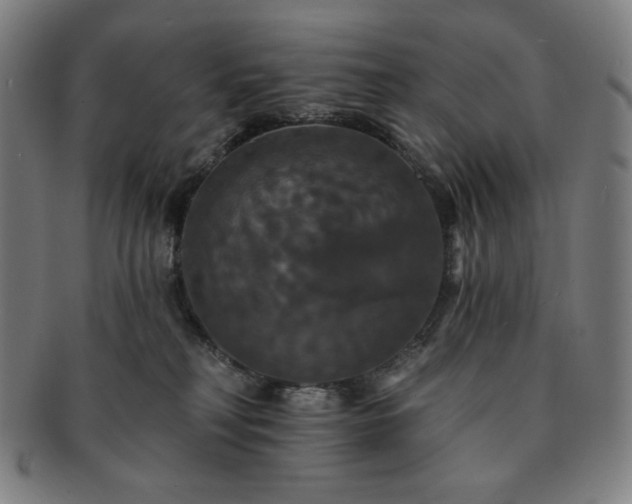 X0000091460230200708231323