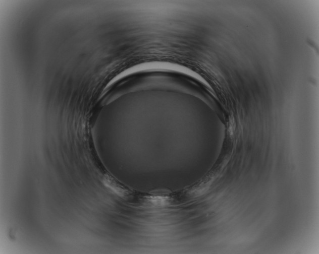 X0000091460233200708231323