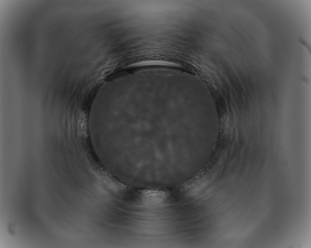 X0000091460234200708231323