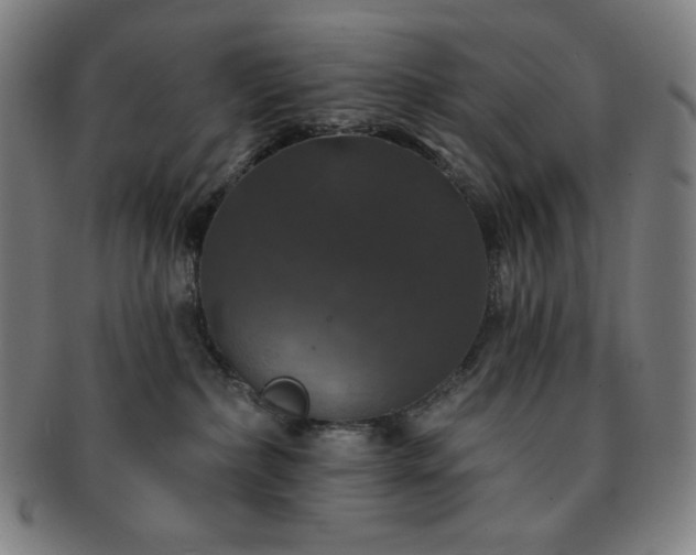 X0000091460236200708231323