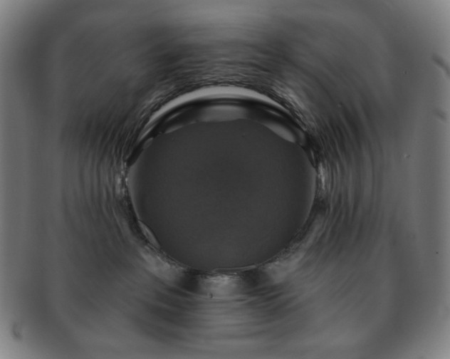 X0000091460237200708231323