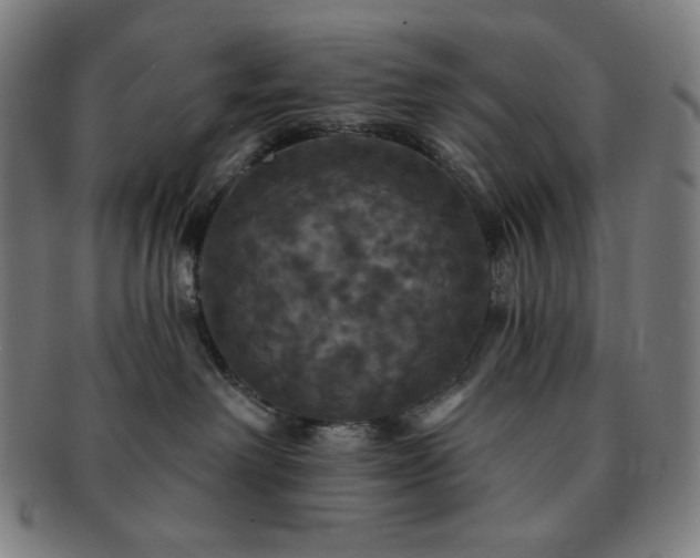 X0000091460238200708231323