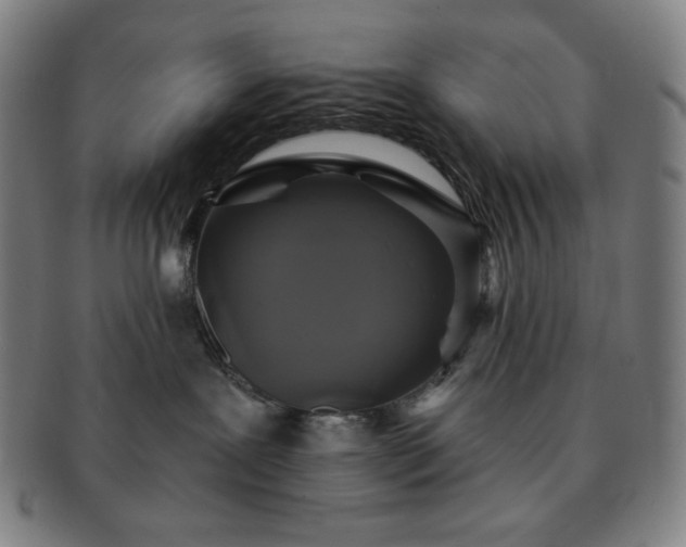 X0000091460239200708231323