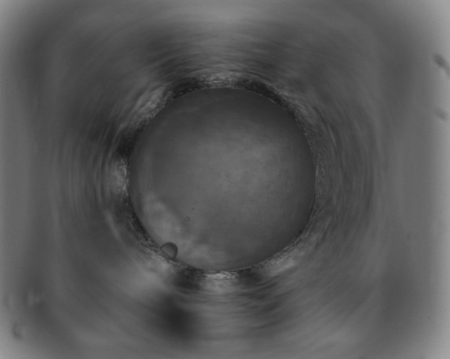 X0000091460240200708231323