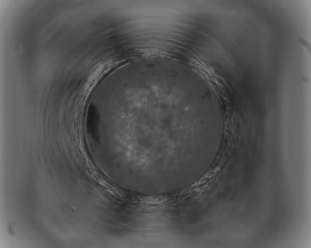 X0000091460241200708231322