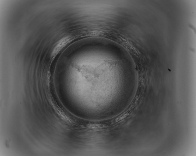 X0000091460242200708231322