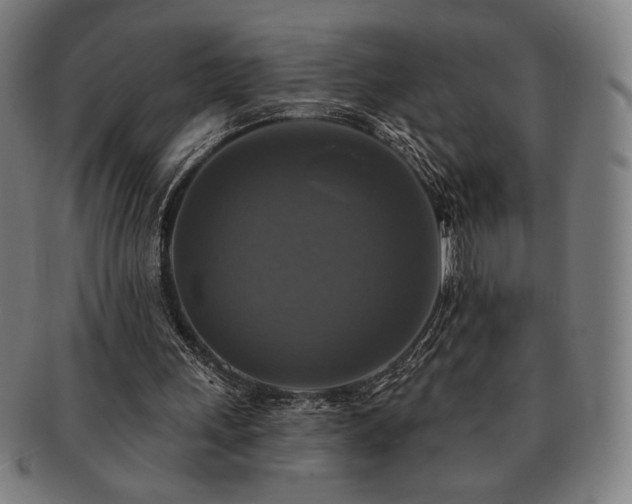 X0000091460243200708231322