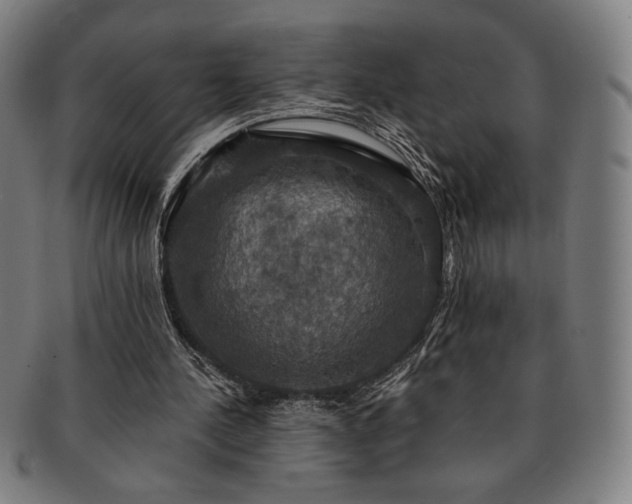 X0000091460244200708231322