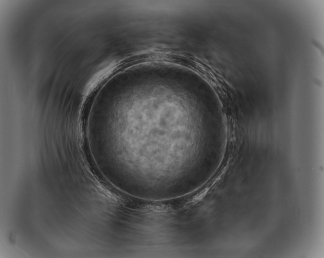 X0000091460245200708231322