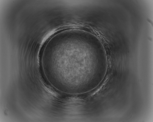 X0000091460246200708231322