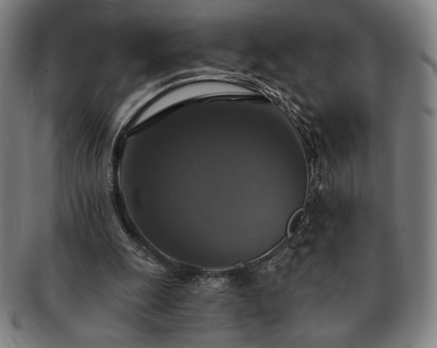 X0000091460247200708231322