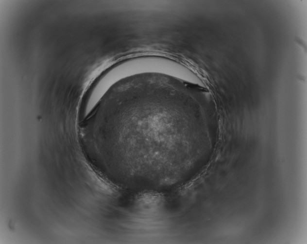 X0000091460248200708231322