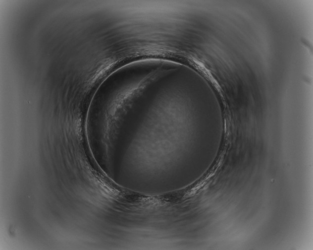 X0000091460249200708231322