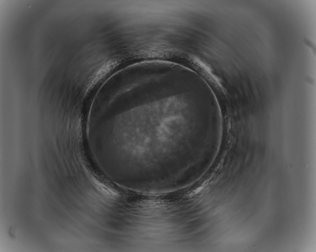 X0000091460250200708231322