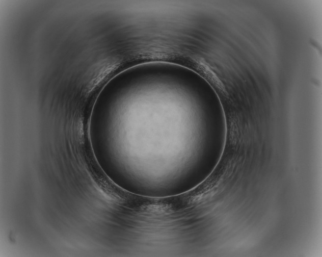 X0000091460251200708231322