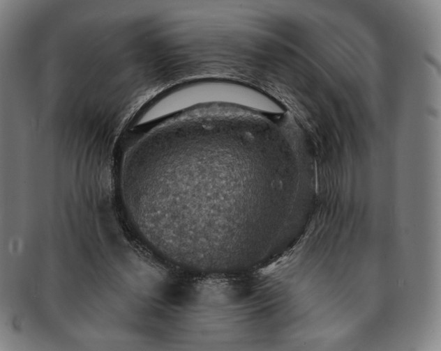 X0000091460252200708231322