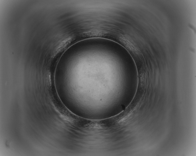 X0000091460254200708231322