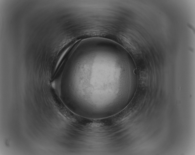 X0000091460255200708231322