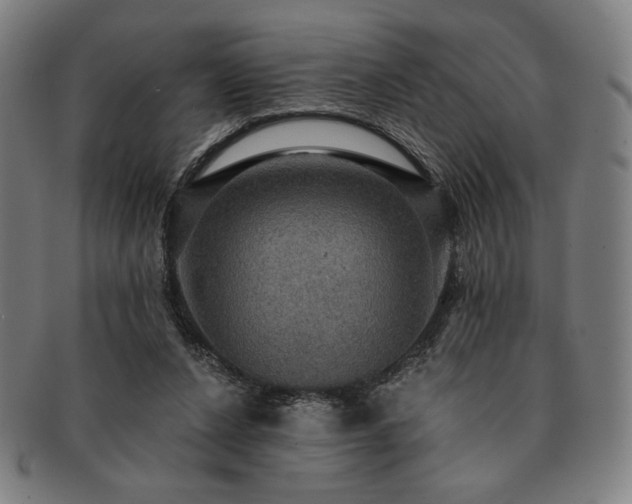 X0000091460256200708231322