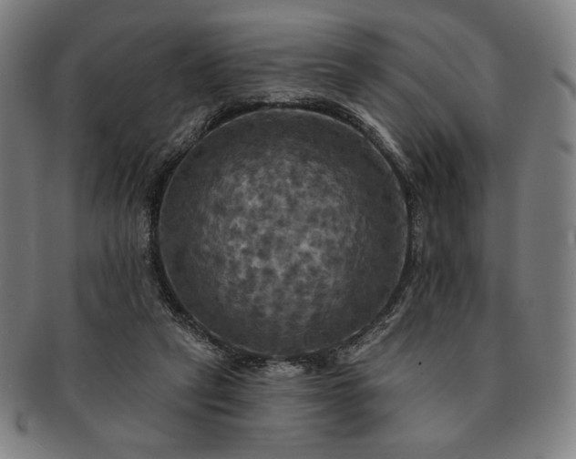 X0000091460257200708231322