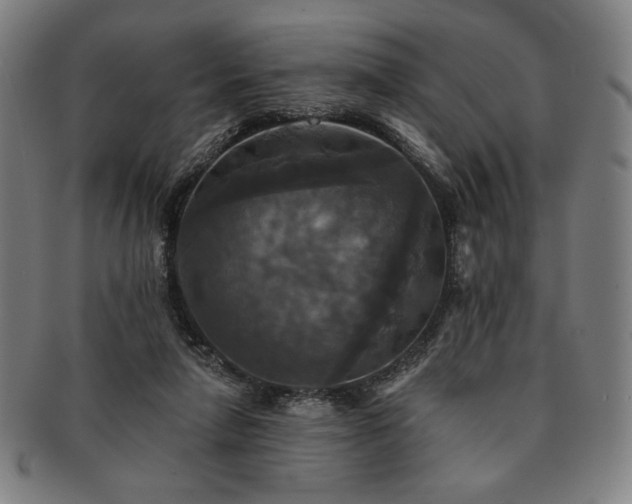 X0000091460258200708231322