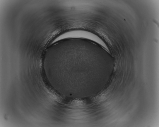 X0000091460260200708231323