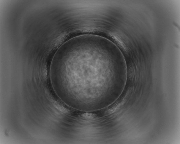 X0000091460261200708231323