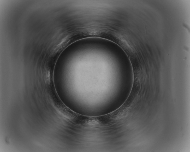 X0000091460262200708231323