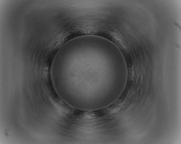 X0000091460263200708231323