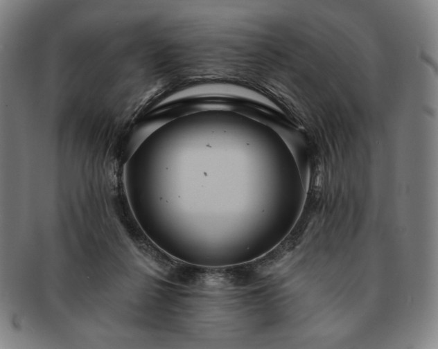 X0000091460264200708231323