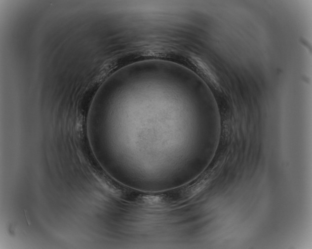 X0000091460265200708231323