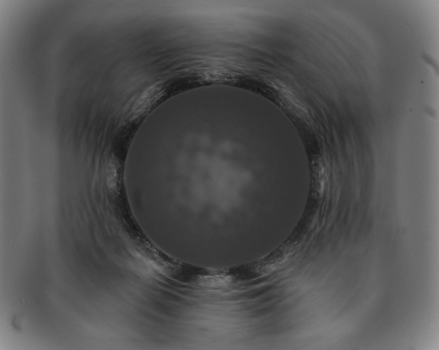 X0000091460266200708231323