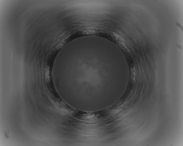 X0000091460267200708231323