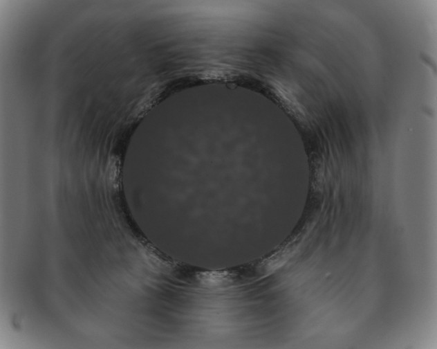 X0000091460273200708231323