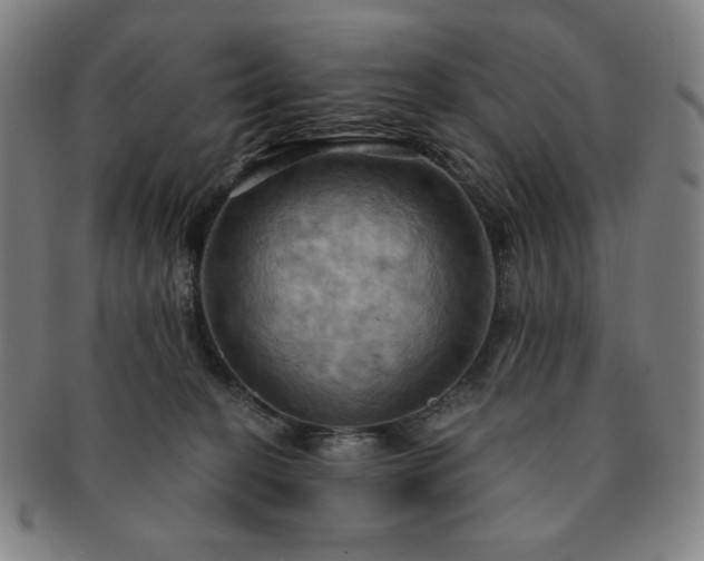 X0000091460274200708231323