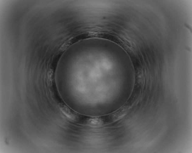 X0000091460275200708231323