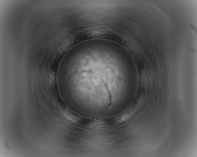 X0000091460278200708231323