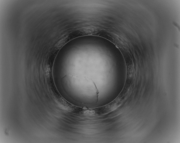 X0000091460279200708231323