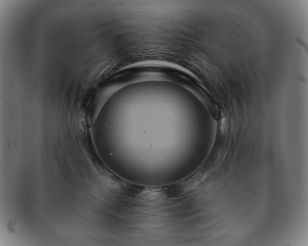 X0000091460280200708231323