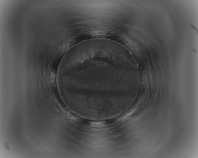 X0000091460281200708231323