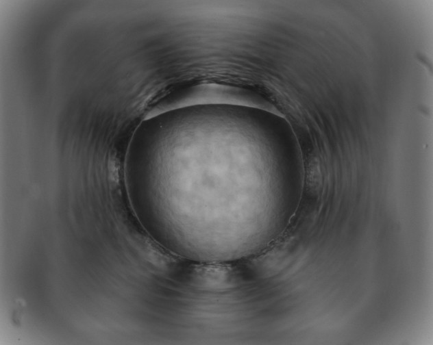 X0000091460282200708231323