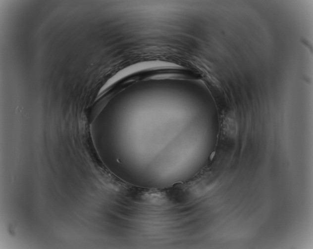 X0000091460283200708231323