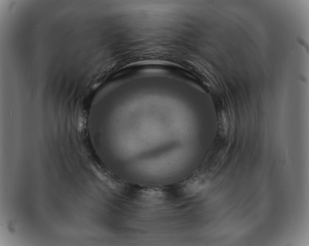 X0000091460284200708231323