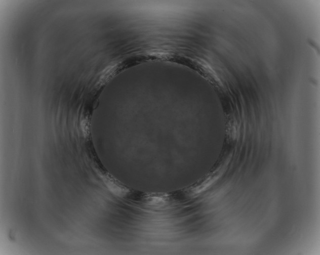 X0000091460285200708231323