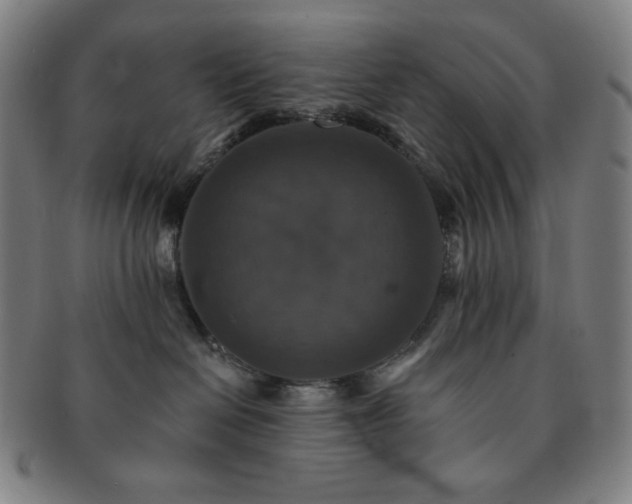 X0000091460286200708231323